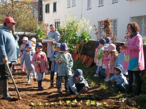Cada criança plantou uma couve na terra.